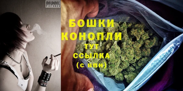 дживик Магас
