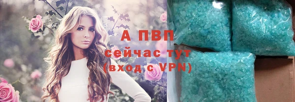 дживик Магас