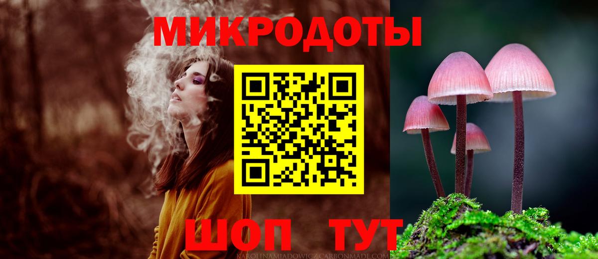 Псилоцибиновые грибы мицелий Ялуторовск