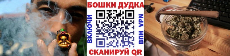 shop как зайти  Ялуторовск  Шишки марихуана сатива  где купить наркоту 